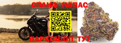 ешки Бузулук