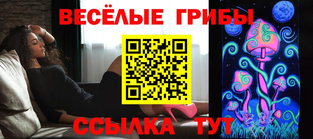 Псилоцибиновые грибы Cubensis Ростов-на-Дону