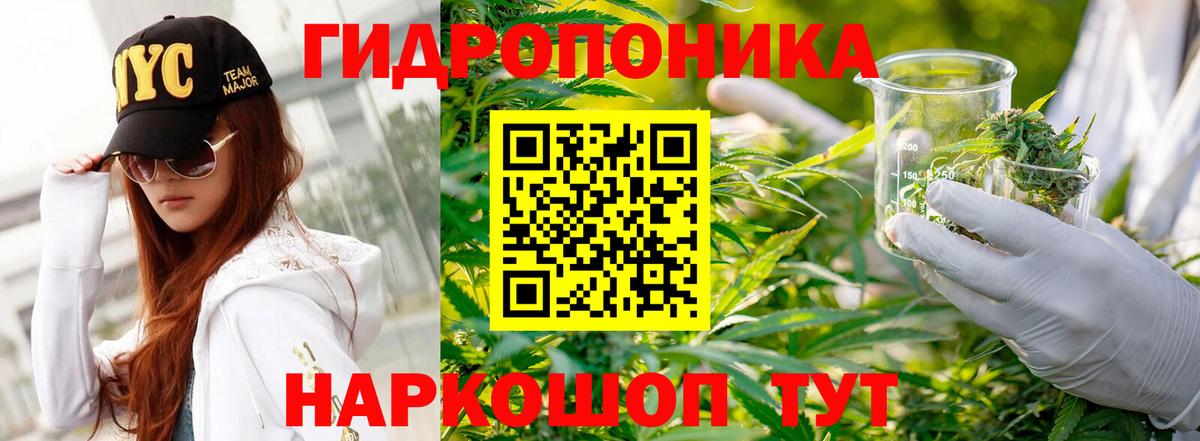 Шишки марихуана семена Ростов-на-Дону